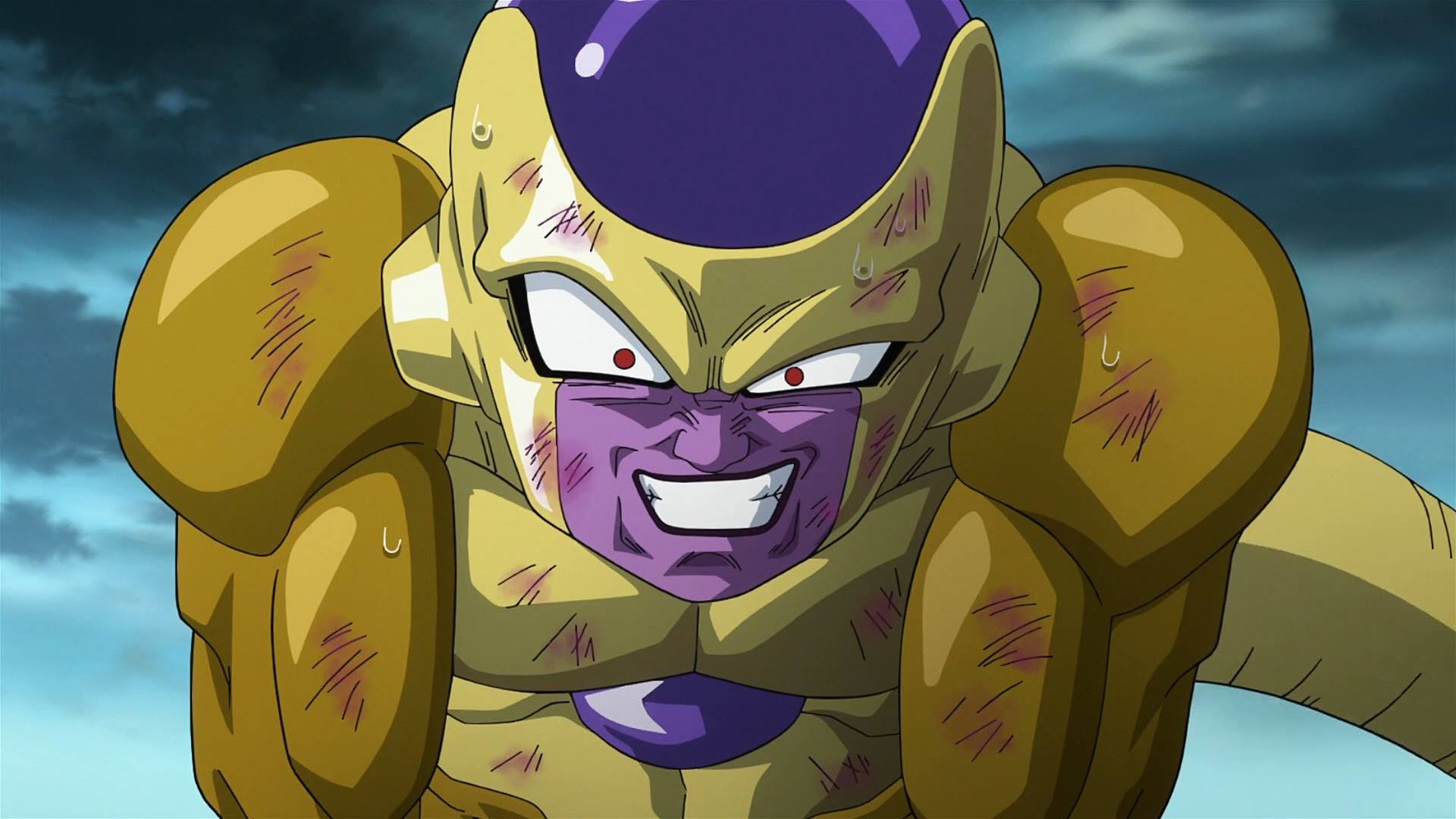 ヒルズフィ−ルド フリ−座 Gotoku HILLS FIELD FREEZA Field Day | a