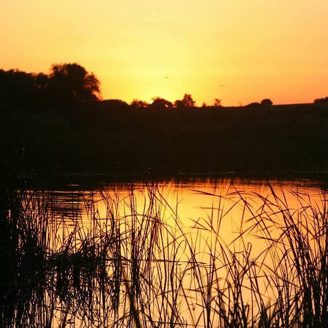 dolno-tserovene