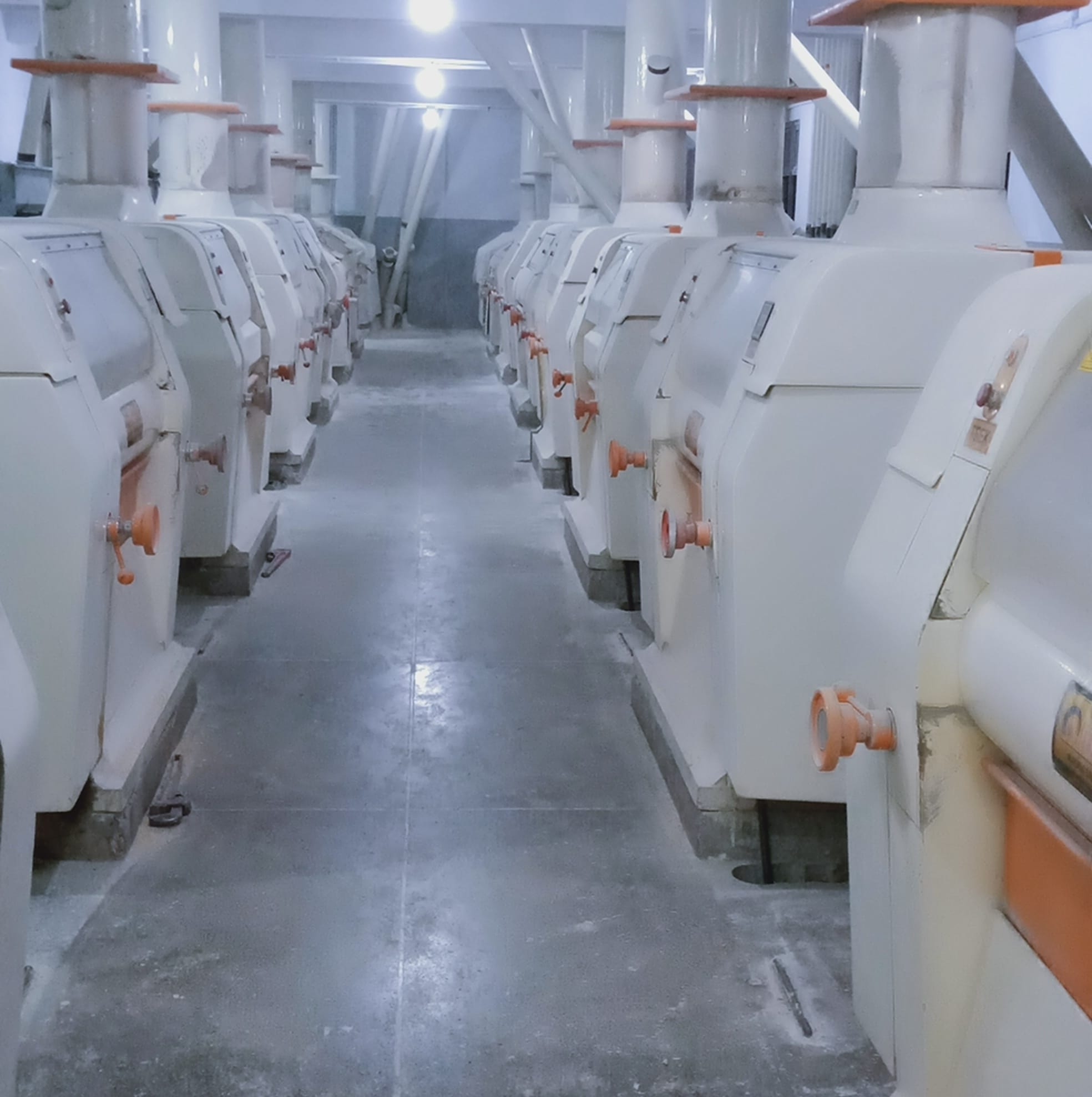 Ahmad Hashmi Flour Mills | Faisalabad