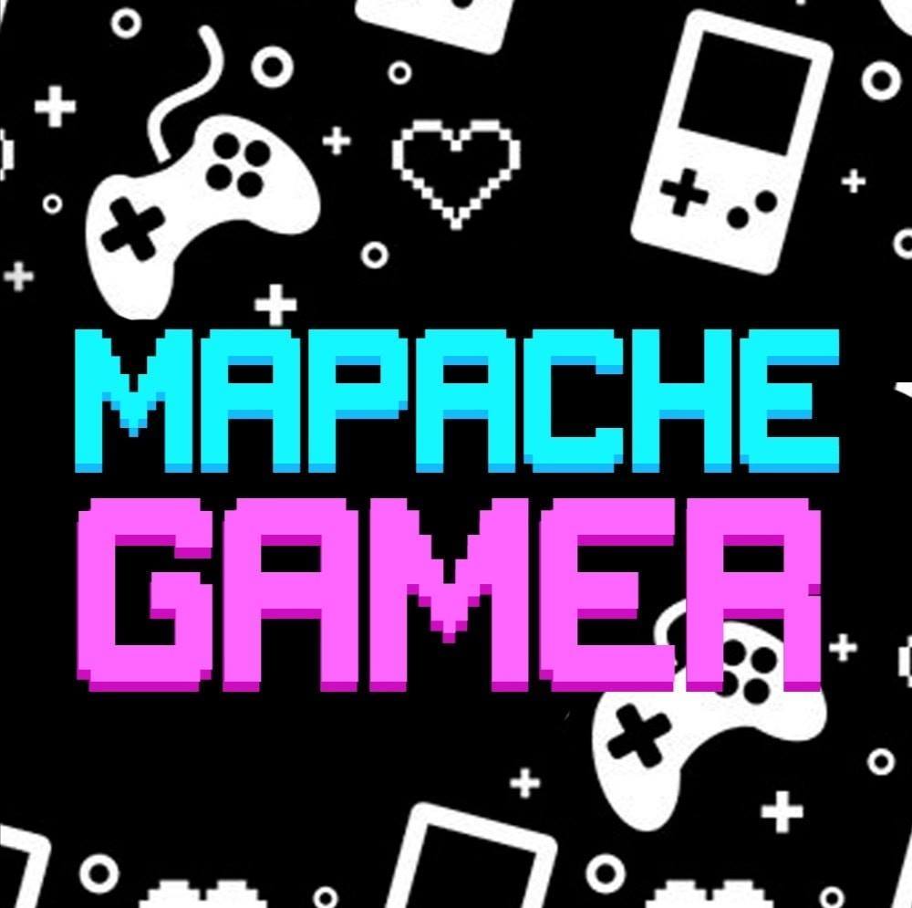Mapache Gamer