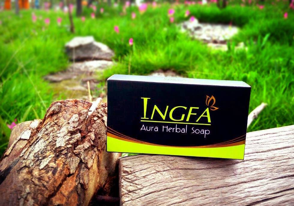 INGFA ลำพูน-เชียงใหม่
