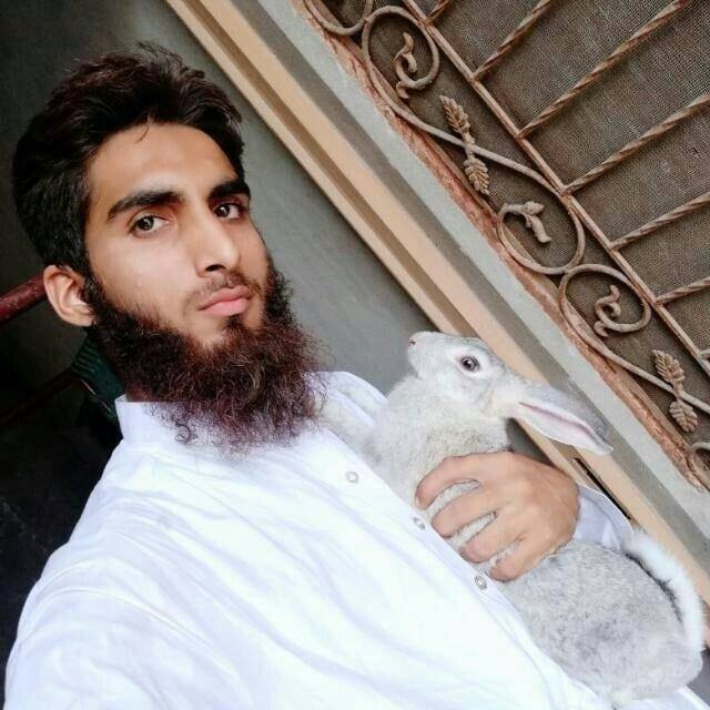Rabbit Wala