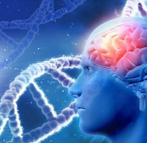 Perceptible Biology