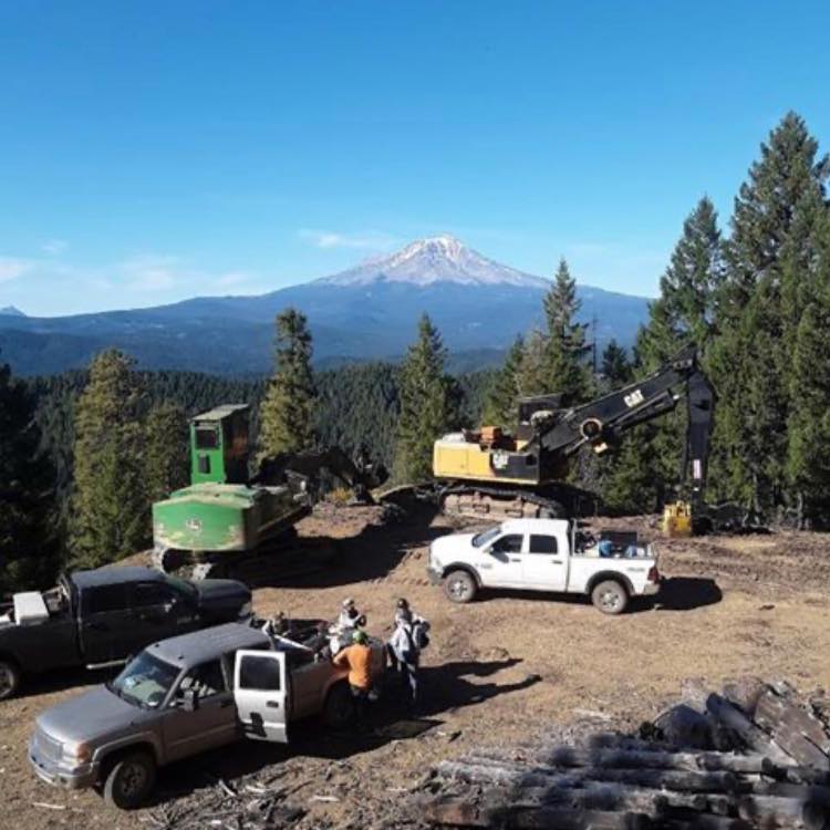 Kelly Creek Logging