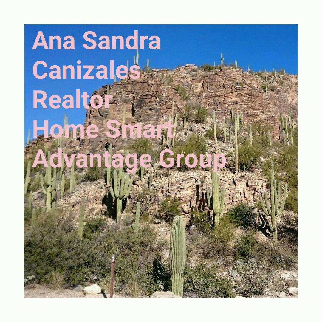Sandy Canizales, Realtor. | Tucson AZ