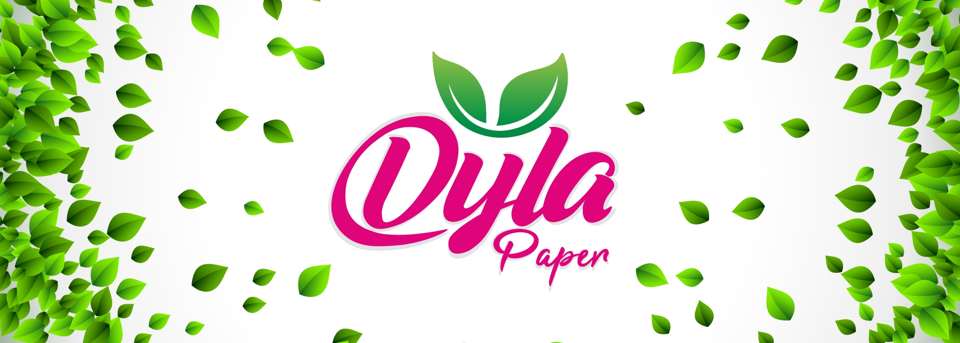 DYLA PAPER | Tizi Ouzou