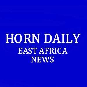 The Daily Horn News