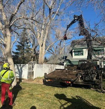 Apex Tree and Crane | Pueblo CO