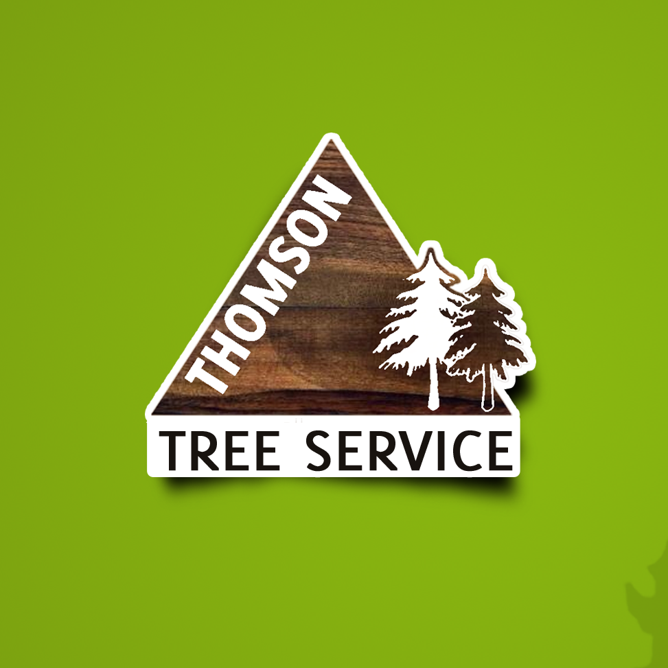 Thomson Tree Service & Excavation | Orford NH