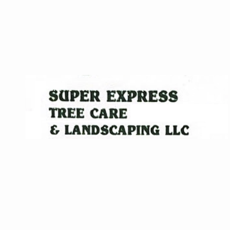 Super Express Tree Care & Landscaping LLC | Rockville MD