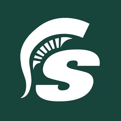 MSU Green Hex Code