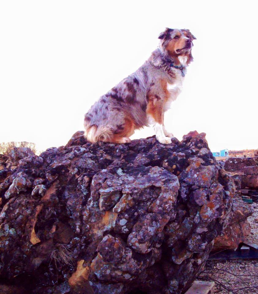 Rocky's Stone & More Inc | Mansfield TX