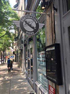 Destination Dogs Philadelphia | Philadelphia PA