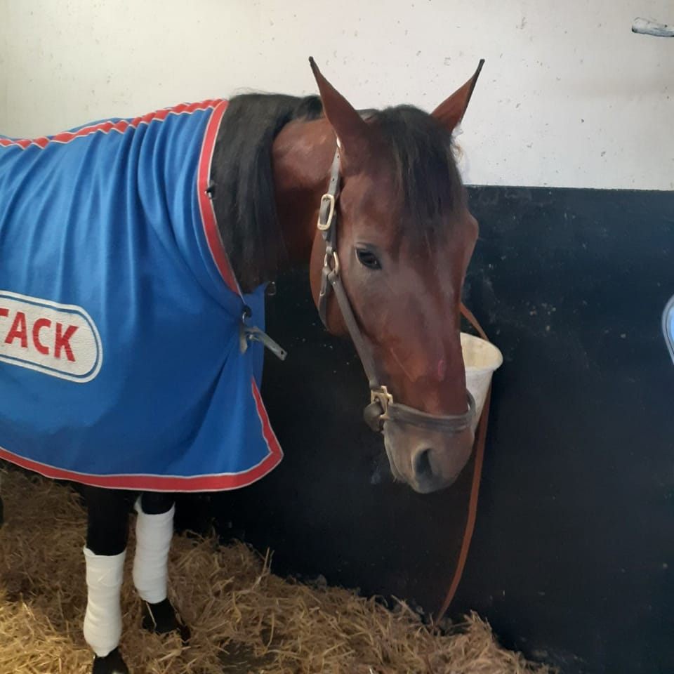 Team Bryan Timoko
