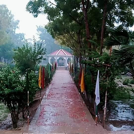 PI Rashid Rind