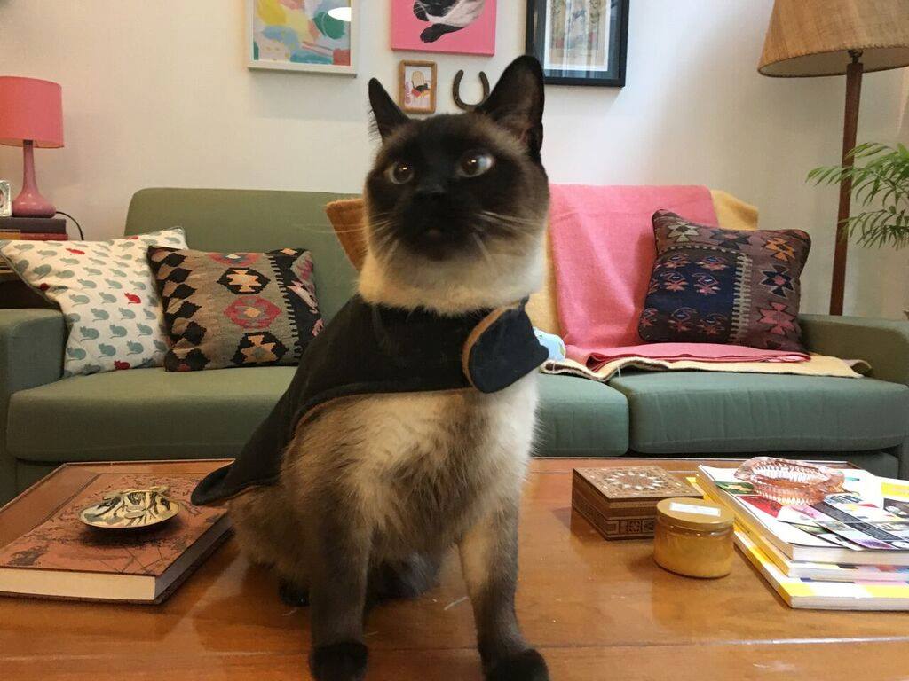 NAKED NANCY