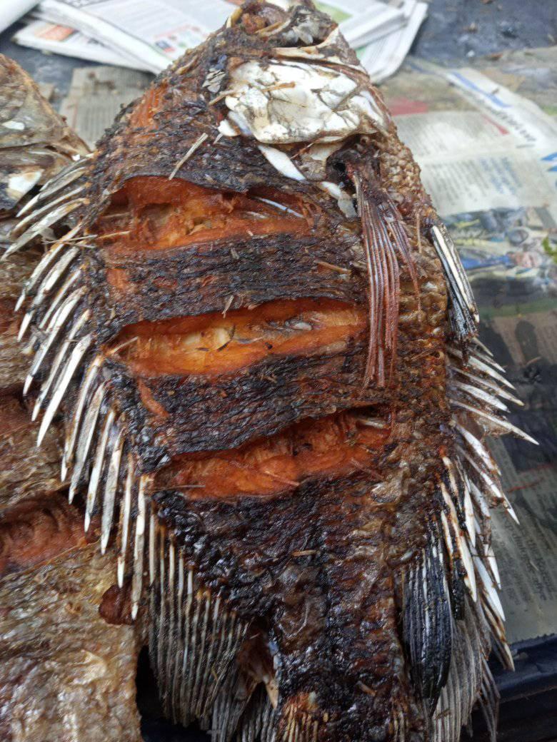 Winam fresh fish supplies
