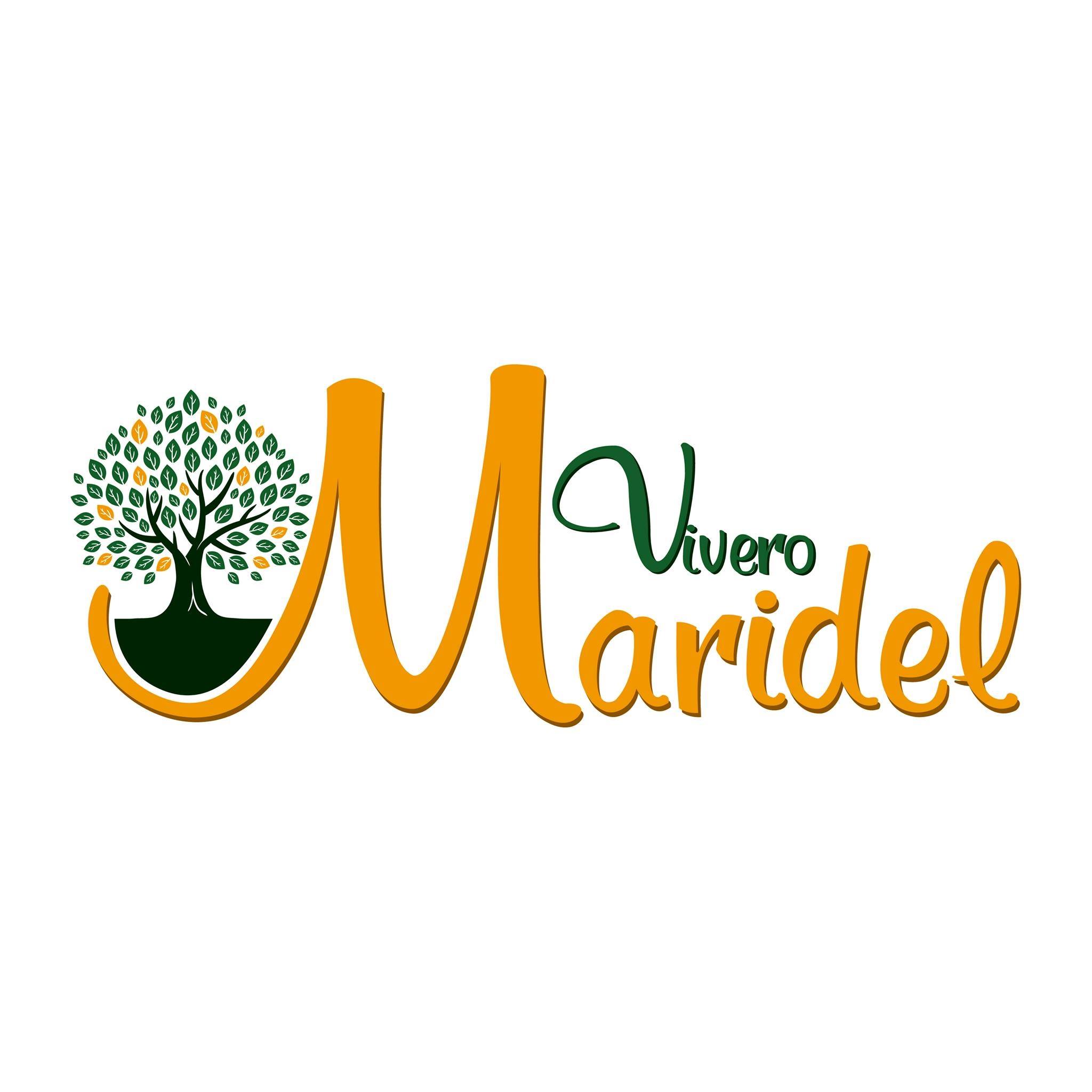 Vivero Maridel | Tunja