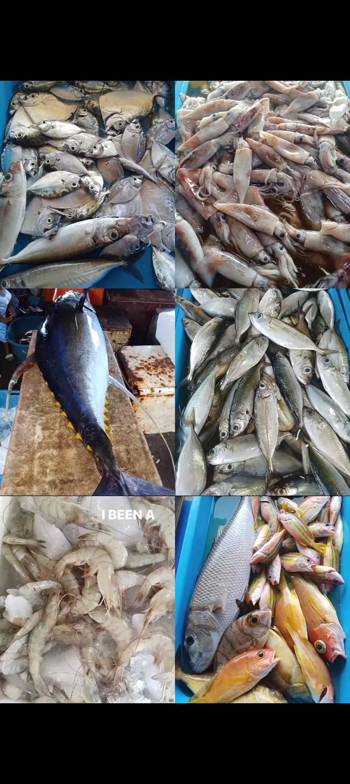 Ladol fresh seafood