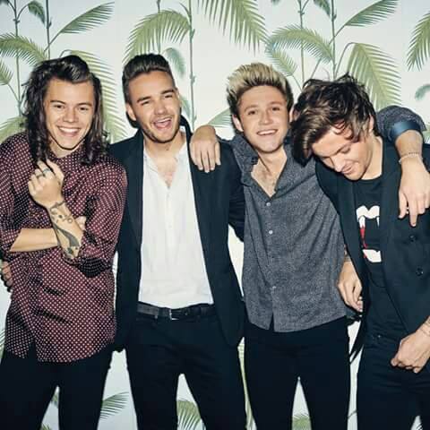 Fans de One Direction