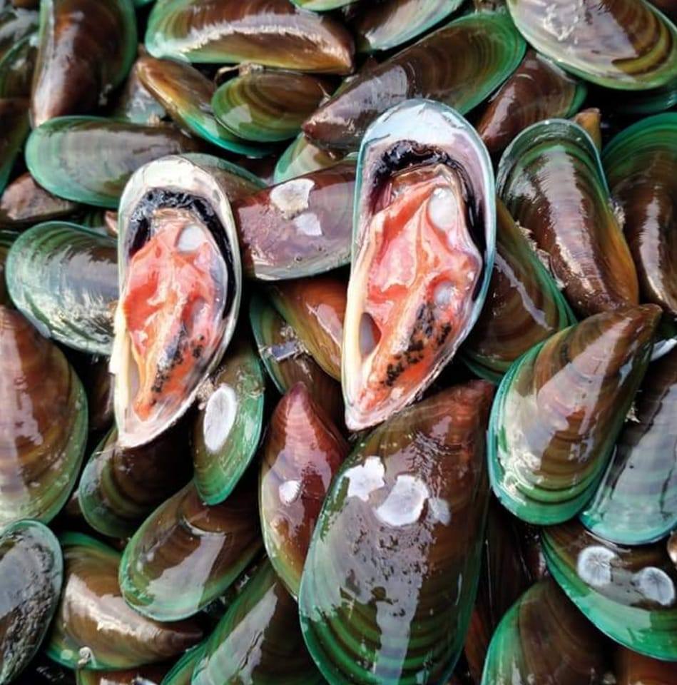 Bambie Tahong/Talaba