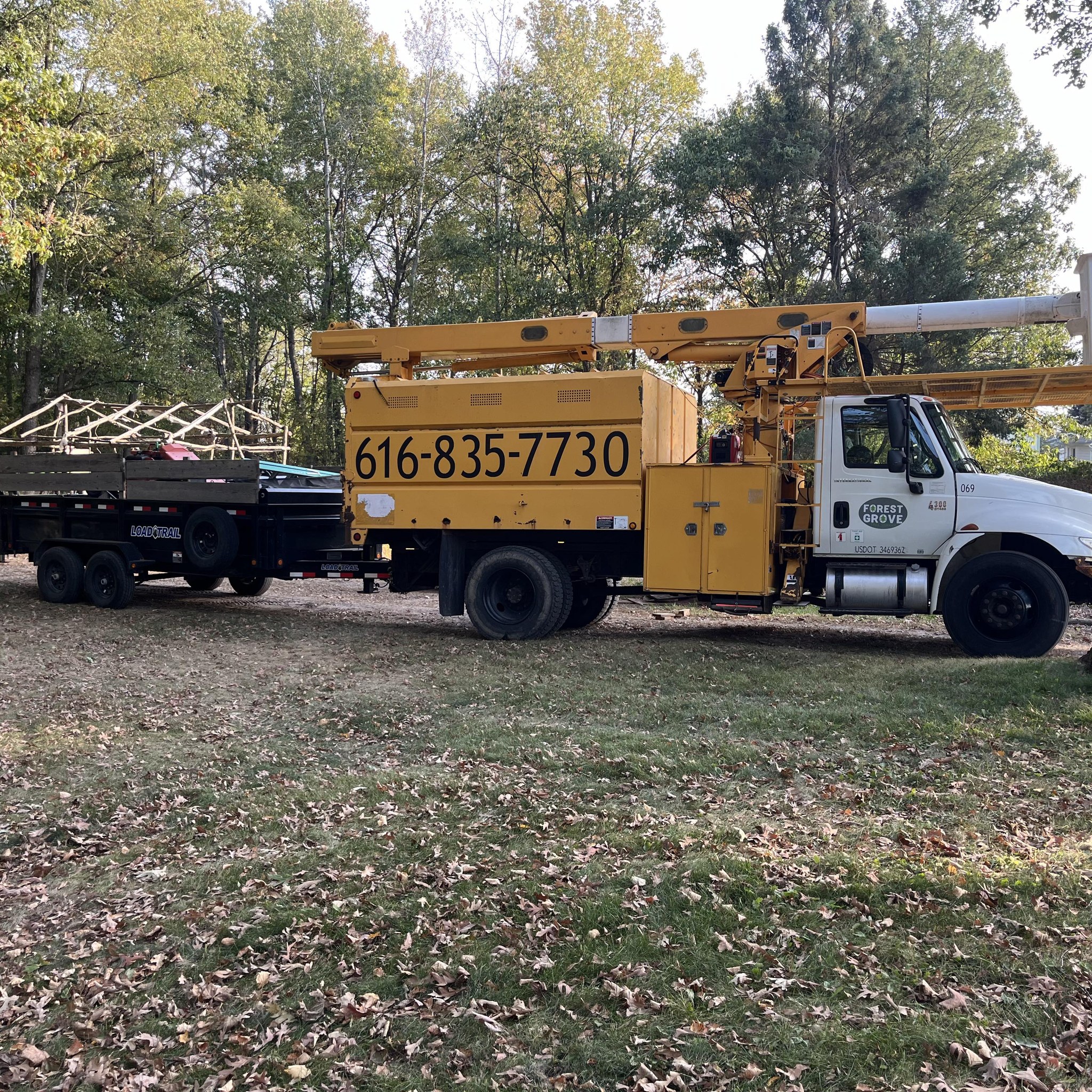 Forest Grove Tree Service