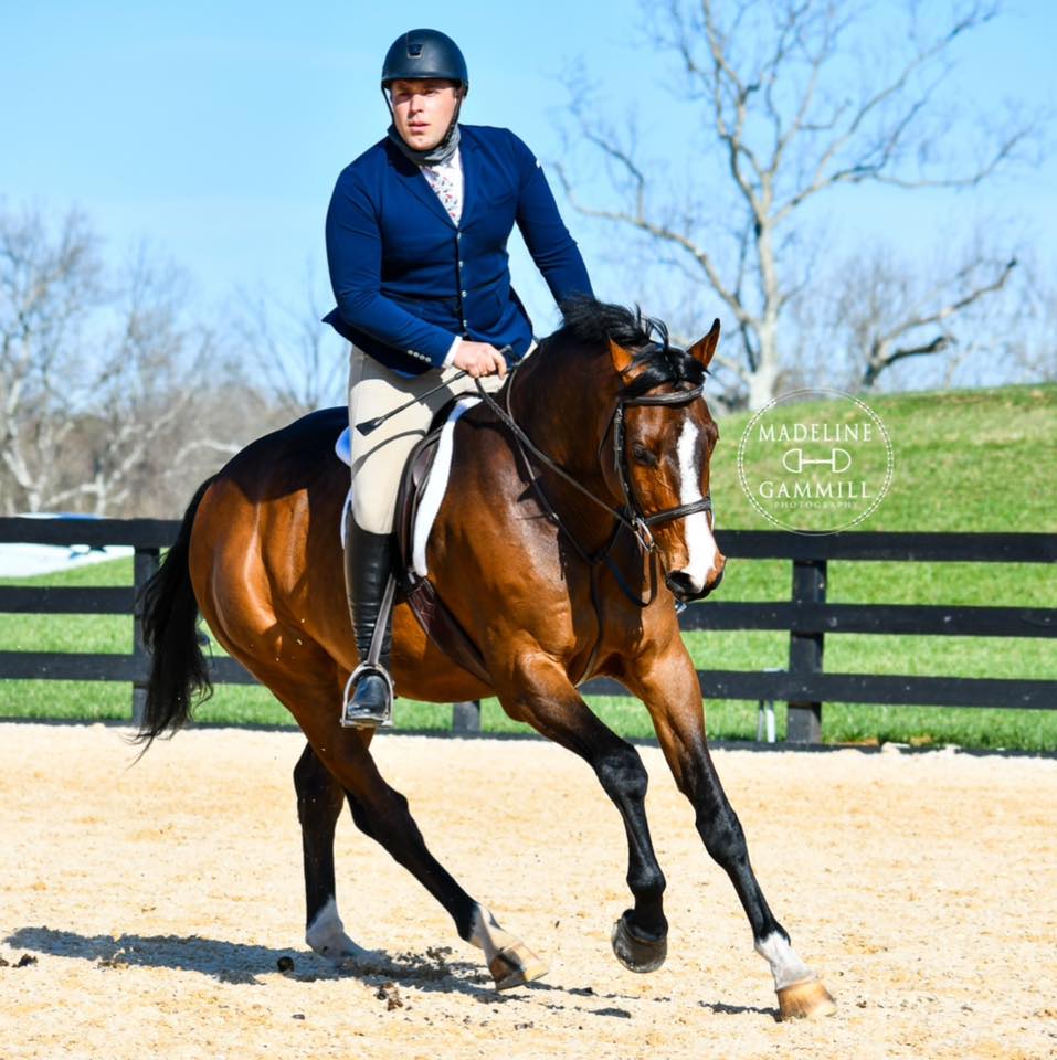 Infinity Equestrian LLC | Middleburg VA