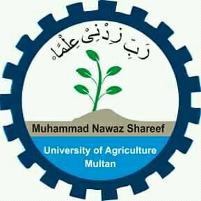 Aly Hussain