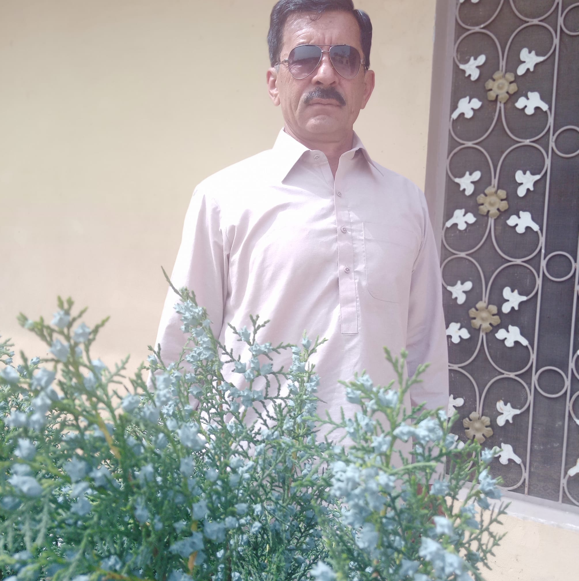 Riaz Haider Hattar