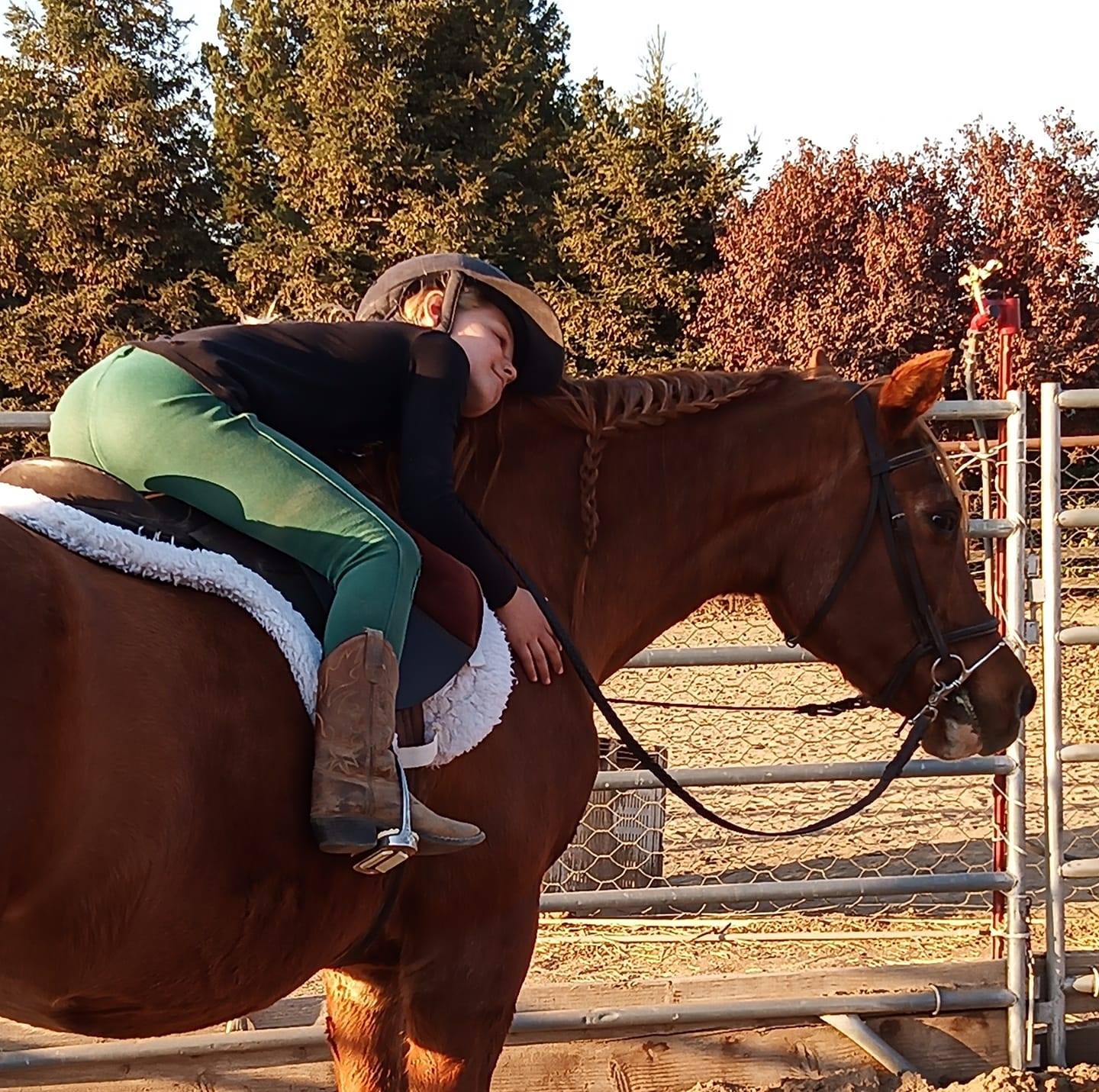Twisted Bit Ranch Madera | Madera CA