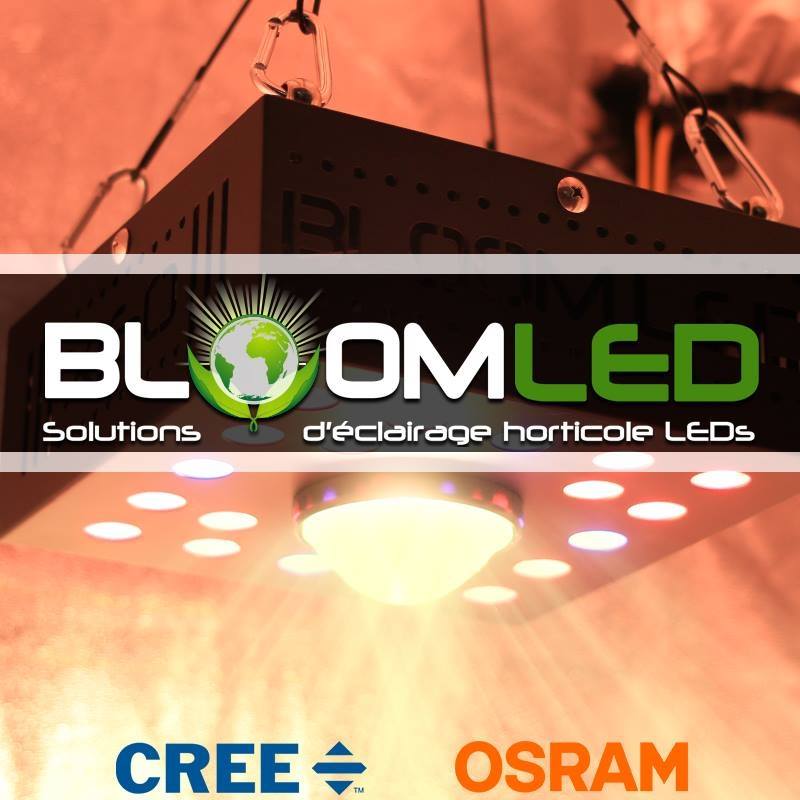 Bloomled Leader français des LEDs horticoles depuis 2009 - CREE & OSRAM