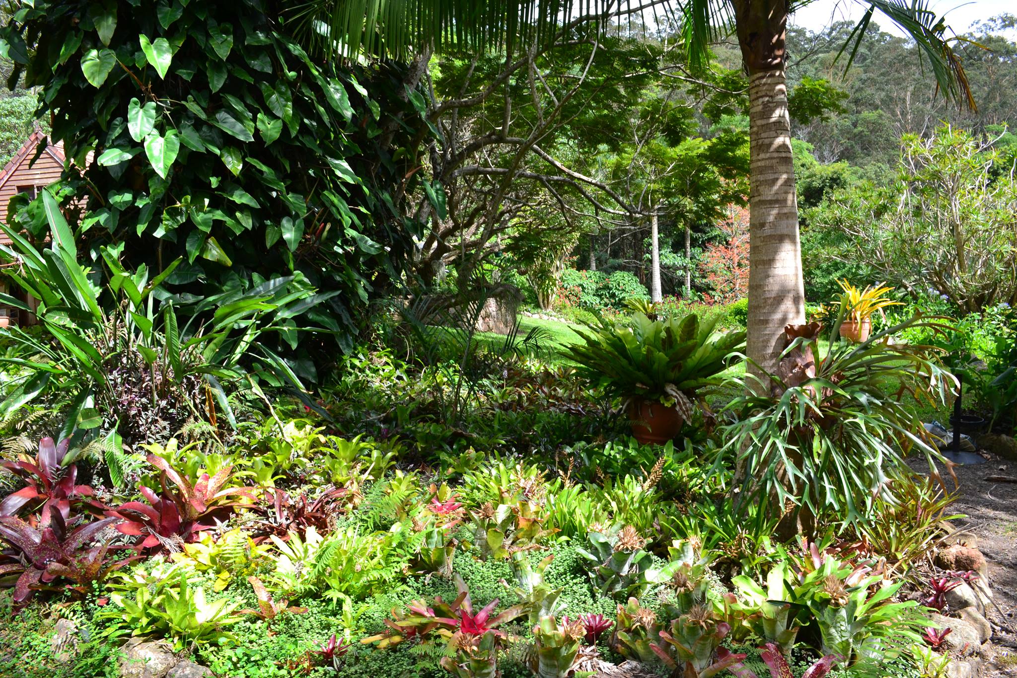 The Lost Gardens | Mapleton QLD