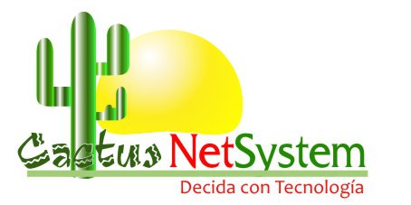Cactus Net System, Decida con Tecnología. | Mexico City