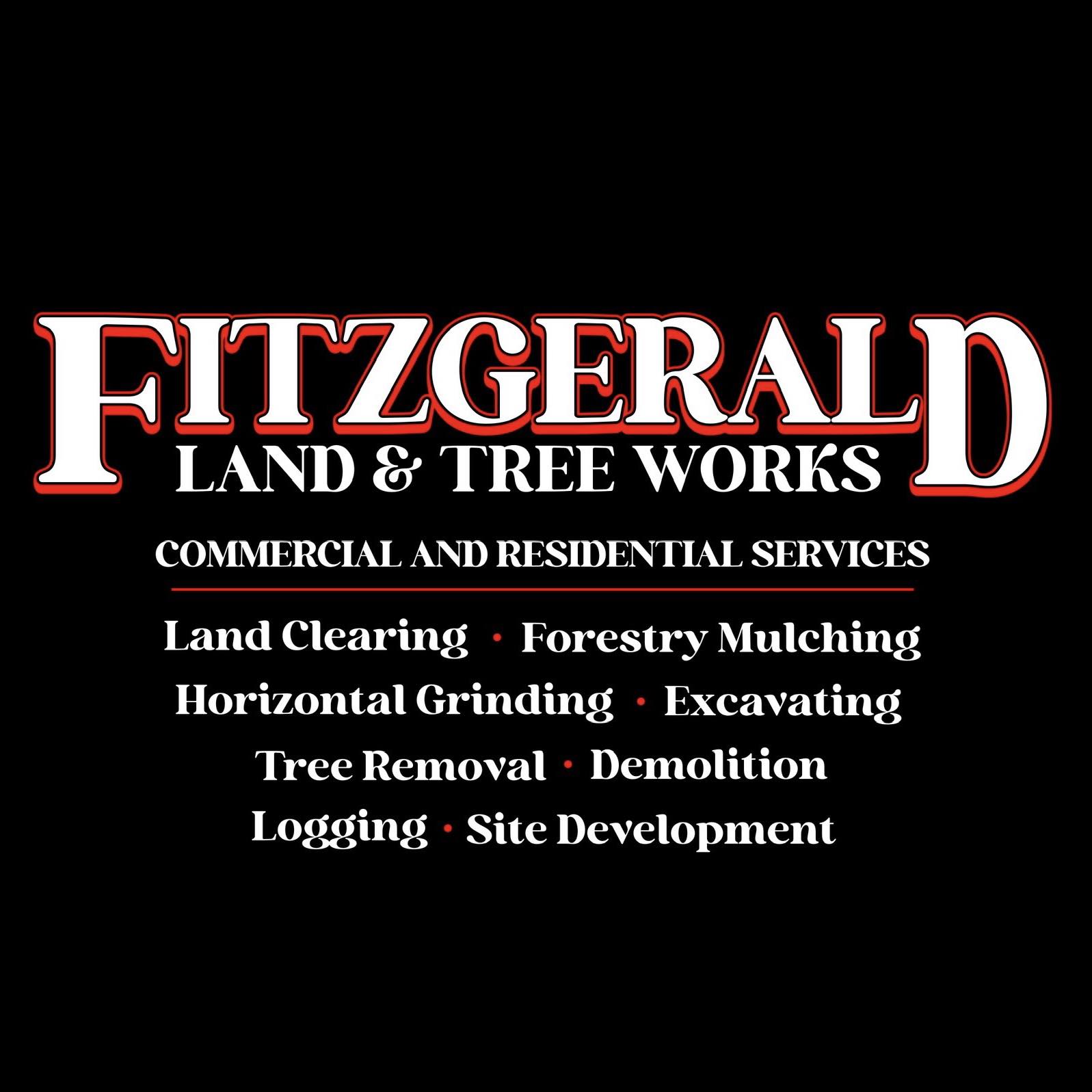 Dylan Fitzgerald