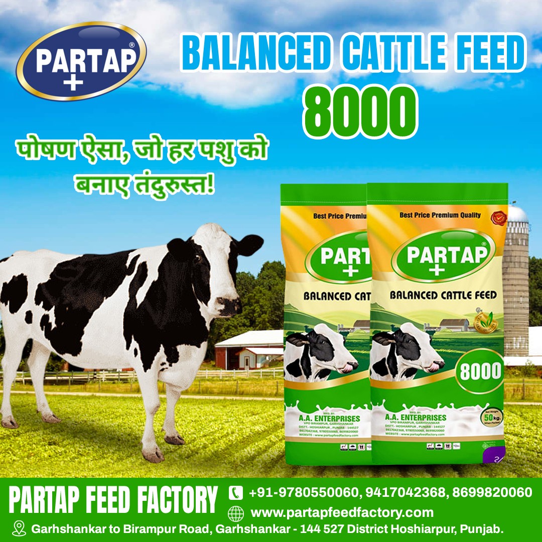 Partap cattle feed | Garhshankar