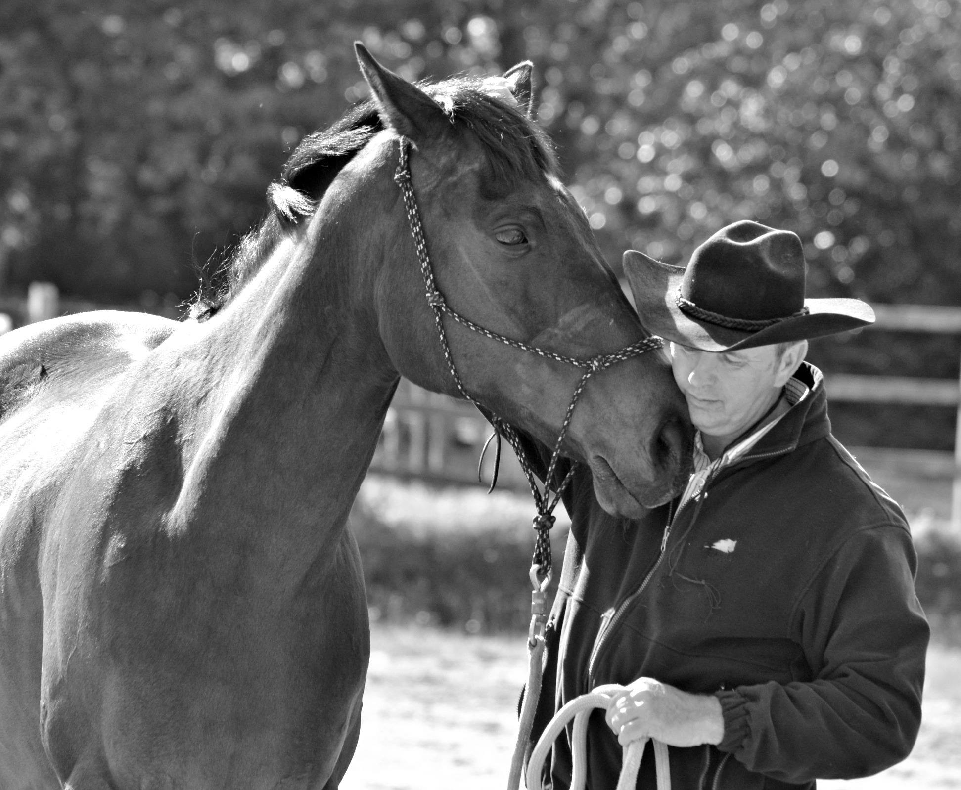 Sheldon Ward Horsemanship