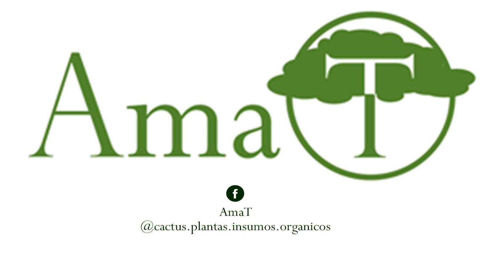 Ama T