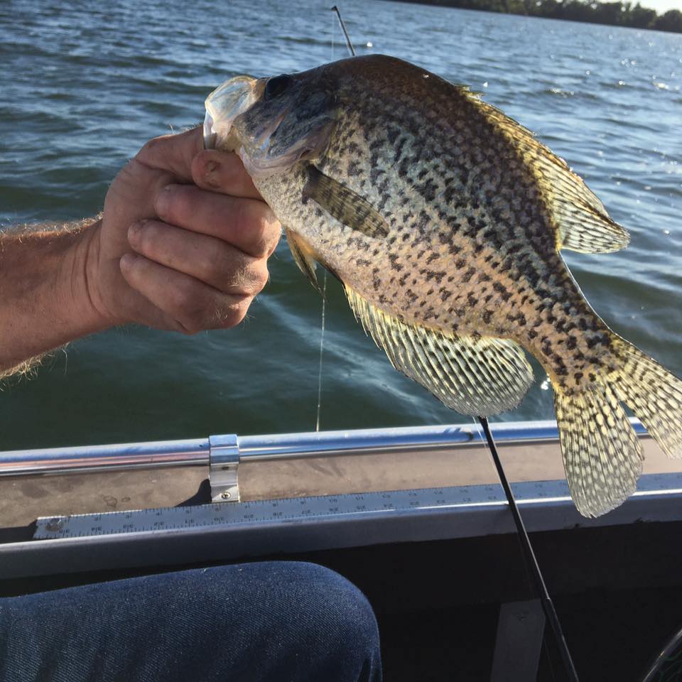 Up North Fish Floppers | Bottineau ND