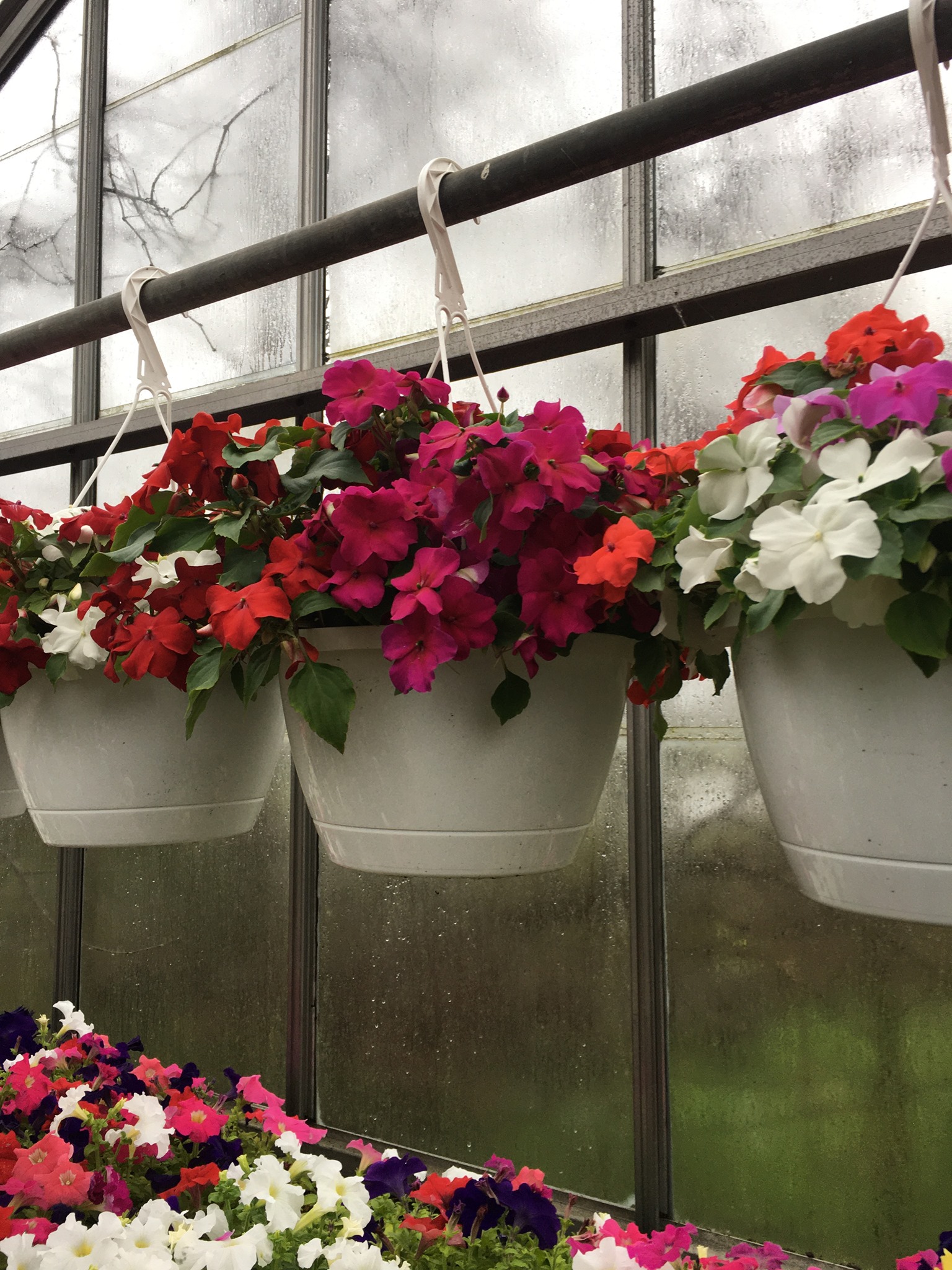 Christoff Flowers