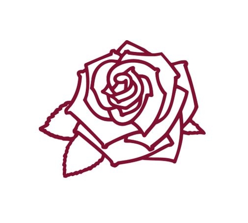 Kordes Rosen - 🌹🌹🌹 ROSE DER WOCHE 🌹🌹🌹 Kleine Rose mit... | Facebook