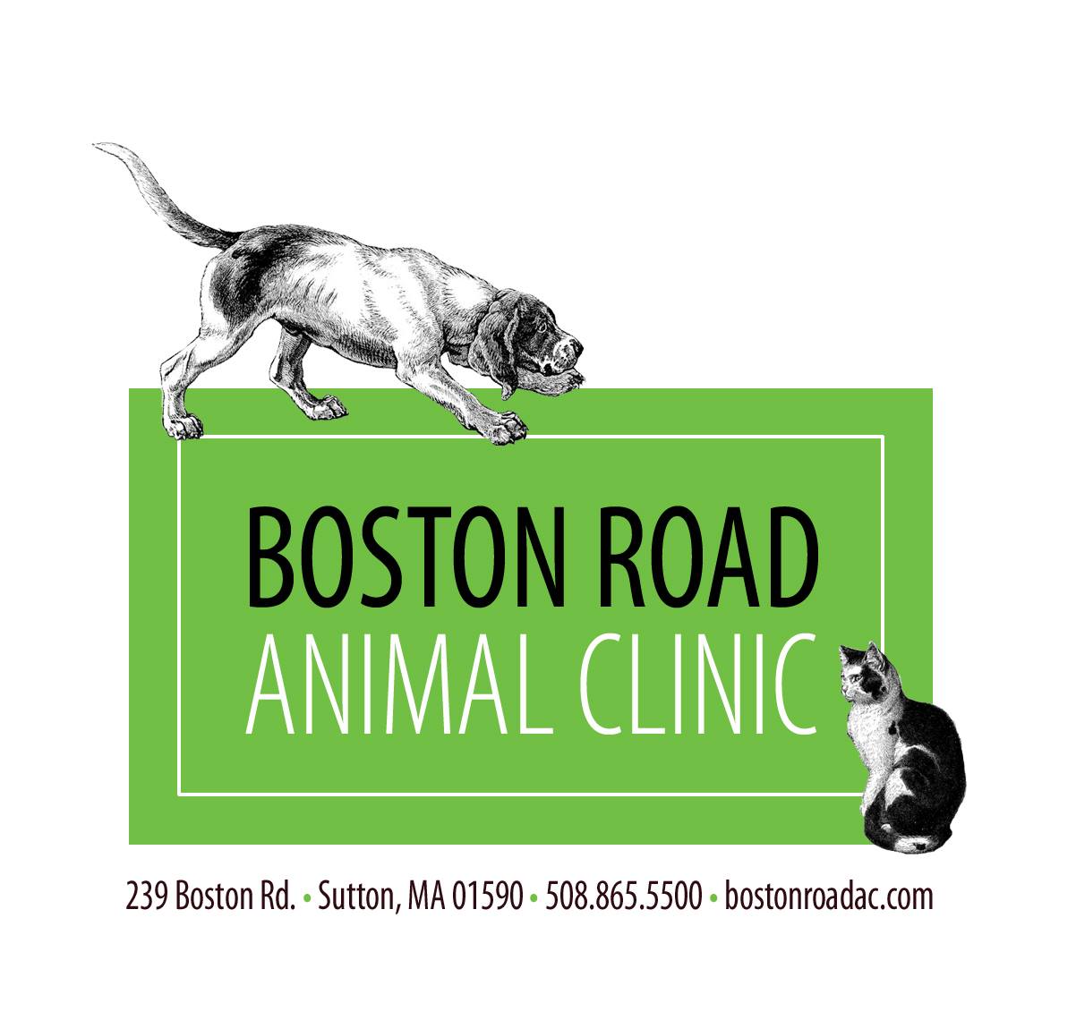 Boston Road Animal Clinic Sutton MA