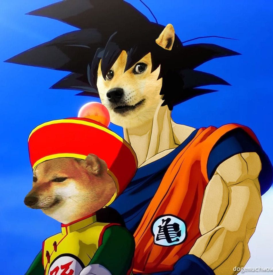 Meme del perro