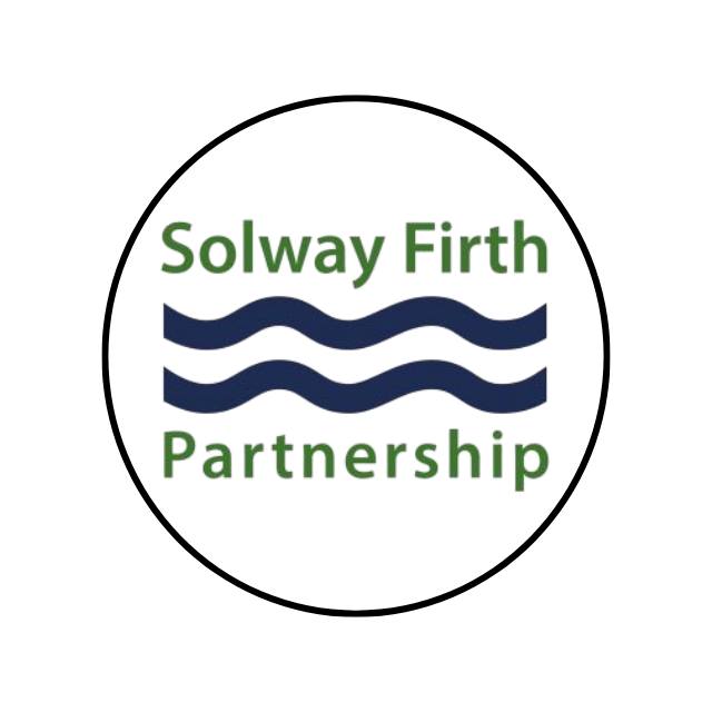 A tidal wave is coming! Small in stature the Solway bore makes an ...