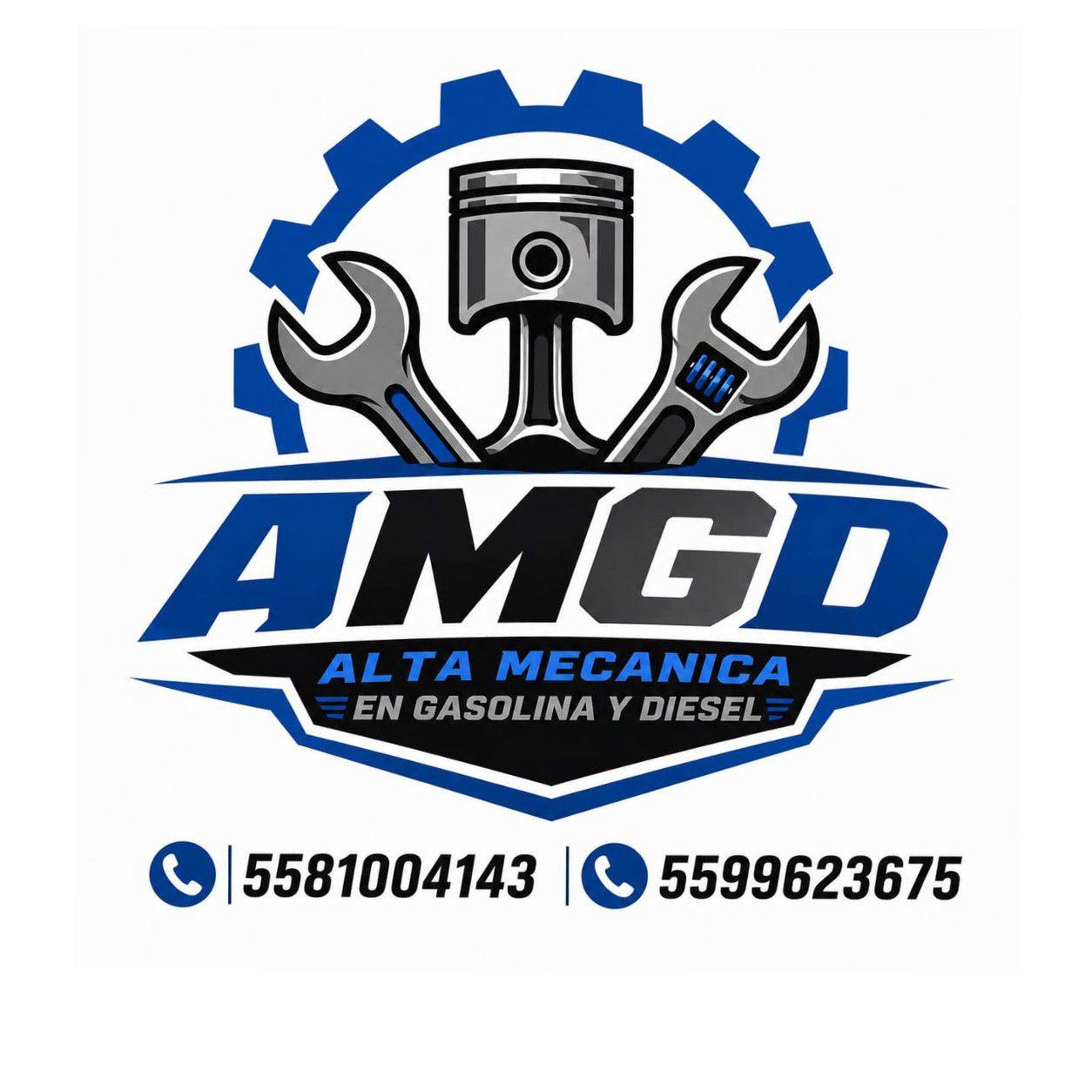 Servicio AMGD