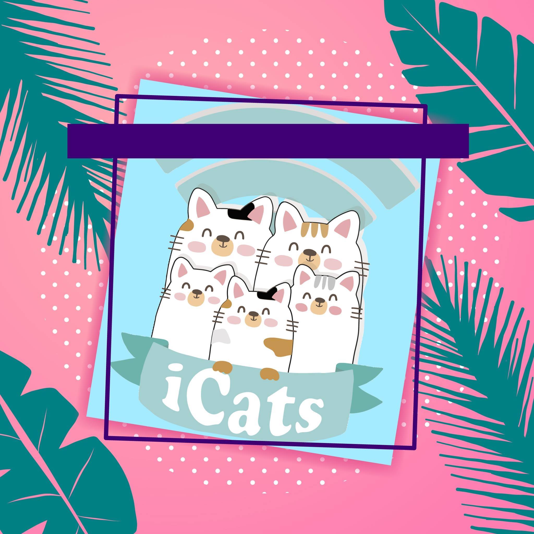 iCats | Amecameca de Juárez