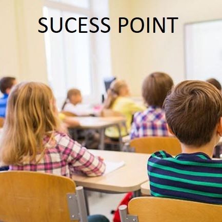 Sucess point
