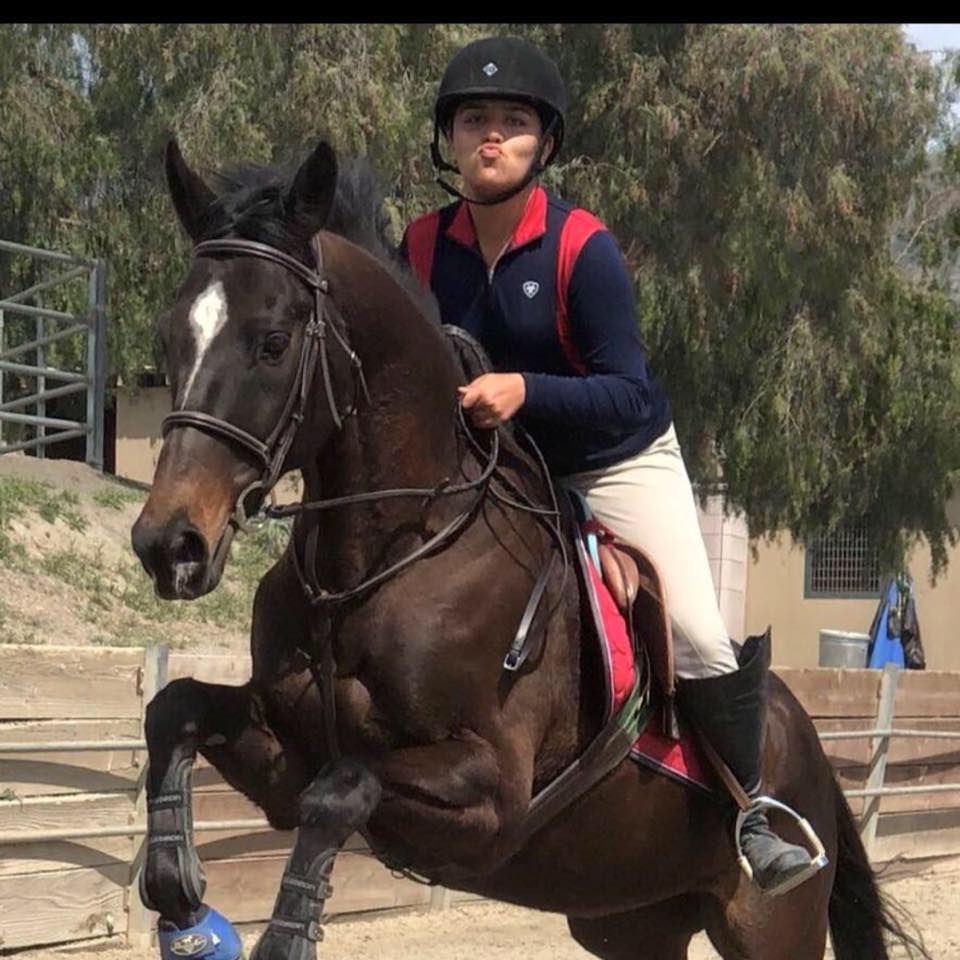 Ruocco Equestrian Training | Bonita CA