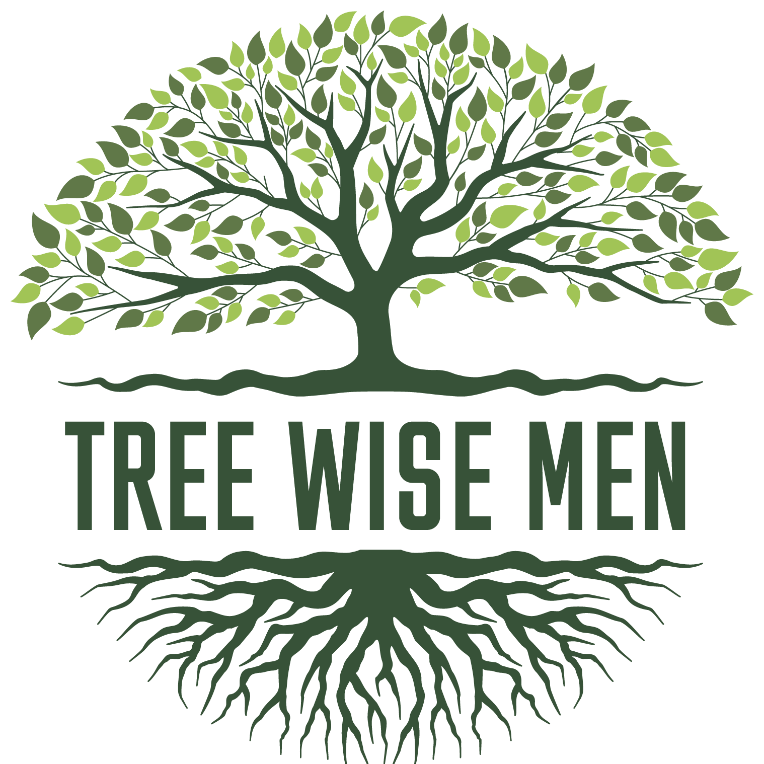 Tree Wise Men