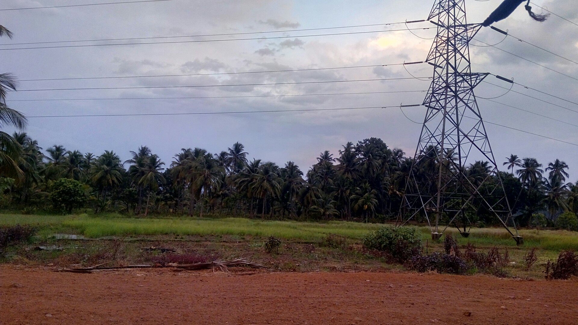 എന്റെ തുരുത്തി