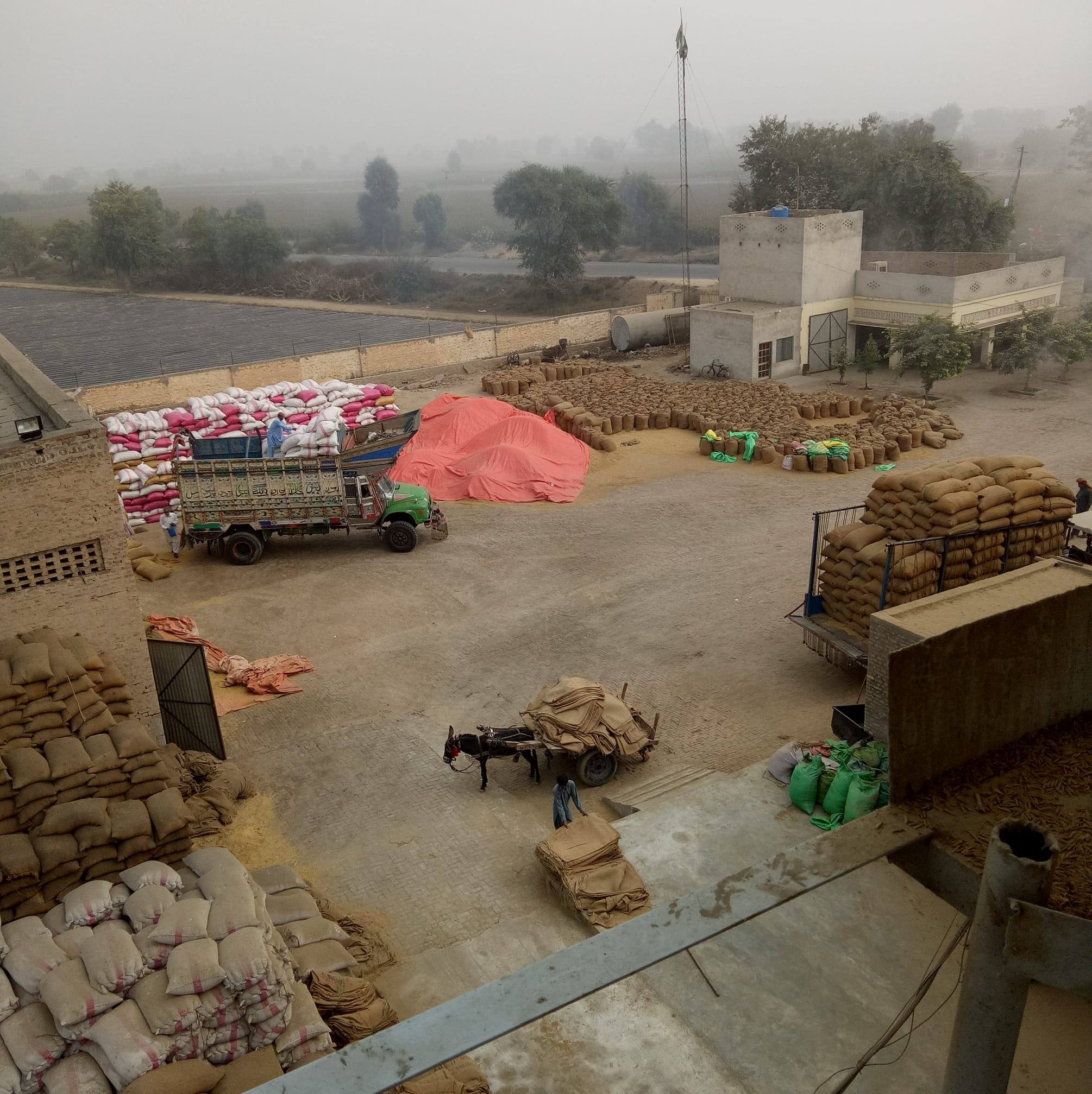 Usman Rice Mills